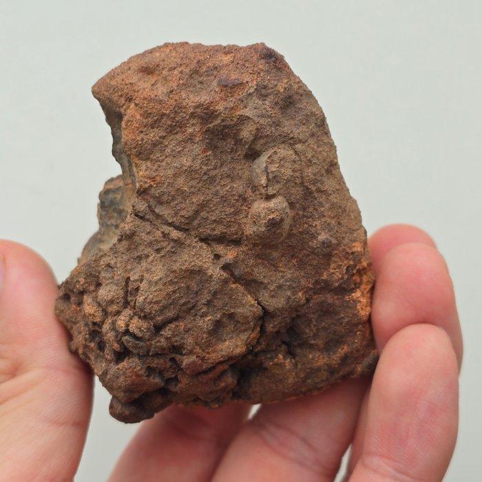 Wolf Creek Iron. Kratermaker in Australië. GEEN, Verzamelen, Mineralen en Fossielen