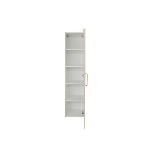 Kolomkast Sanicare 1 Soft-Closing Deur Chromen Greep, Doe-het-zelf en Verbouw, Sanitair, Bad, Nieuw, Chroom, Ophalen of Verzenden