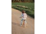 Little Dutch Loopfiets LD8005 - 12-inch - Voor kinderen, Verzenden, Nieuw
