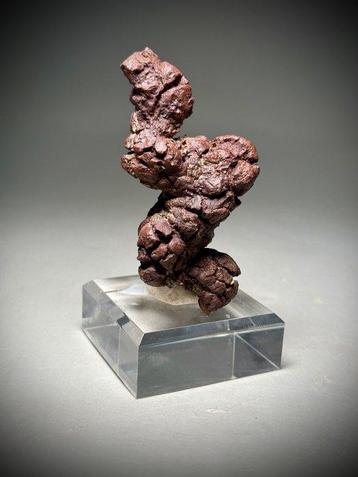 Versteende poep - Fossiel fragment - Coprolite beschikbaar voor biedingen