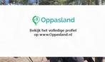 Ik ben Suze, 16 jaar oud en ik zoek oppaswerk in Hoogland., Diensten en Vakmensen, Dieren | Overige | Verzorging, Oppas en Les