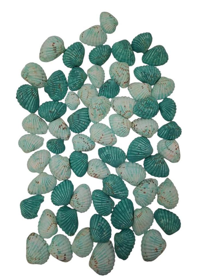 Tiger Chippy Schelpen Groen 500 gram, Hobby en Vrije tijd, Knutselen, Nieuw, Ophalen of Verzenden