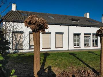 Kamer van Maelstedestraat in s-Heer Hendrikskinderen beschikbaar voor biedingen