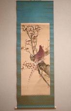 Lente bloemen en vogels - kersenbloesems en fazant -