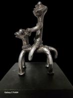 cavaliers sao - Tsjaad (Zonder Minimumprijs)