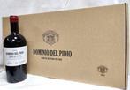 2021 Dominio del Pidio - Oscar Aragón - Ribera del Duero - 6, Nieuw