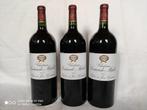 2016 Château Sociando-Mallet - Bordeaux - 3 Magnums (1.5L), Nieuw