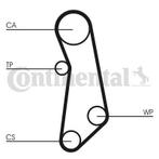 Waterpomp + Distributieriem Set CT1115WP1 Voor Ford Alfa..., Auto-onderdelen, Motor en Toebehoren, Nieuw, Ophalen of Verzenden