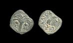 Judaea. Marcus Ambibulus (9-12 n.Chr.). Prutah Marcus