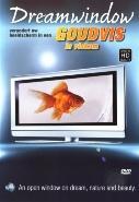 Dreamwindow - goudvis - DVD, Cd's en Dvd's, Verzenden, Nieuw in verpakking