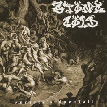 cd - Stone Cold - Societys Downfall, Cd's en Dvd's, Cd's | Overige Cd's, Zo goed als nieuw, Verzenden
