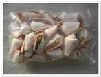 Strombus luhuanus – natuurlijke schelpen ca. 1 kg 1000 gram, Hobby en Vrije tijd, Knutselen, Ophalen of Verzenden, Nieuw