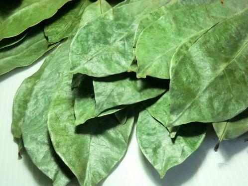 Gedroogde Zuurzak Bladeren | Wild! | Uit de Surinamse Natuur, Diversen, Levensmiddelen, Ophalen of Verzenden