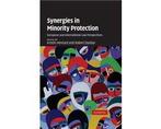 Boek Synergies in Minority Protection 9780521864831, Verzenden, Zo goed als nieuw