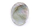Gouden Dames Ringen ? [ Bekijk Onze Collectie ]