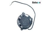 Koelfan Motor Honda VT 500 E (VT500E PC11), Verzenden, Gebruikt