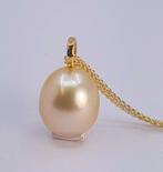 Zonder minimumprijs - Hanger Zilver, 10x11mm gouden South