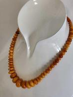 Amber - Barnsteen - 42.5 cm (Zonder Minimumprijs), Nieuw