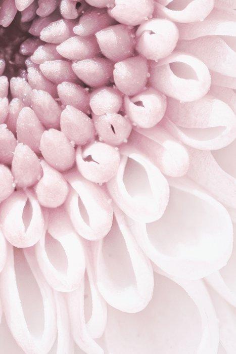 Inna Etuvgi - Echoes, Antiek en Kunst, Kunst | Designobjecten