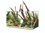 Oase ScaperLine 60 Aquarium, Dieren en Toebehoren, Vissen | Aquaria en Toebehoren, Ophalen of Verzenden, Nieuw