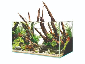 Oase ScaperLine 60 Aquarium beschikbaar voor biedingen