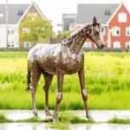 Bieden - Metalen paard - Levensgroot, Ophalen of Verzenden