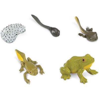 Speelfiguren Levenscyclus Kikker - Safari Ltd 5 stuks, Kinderen en Baby's, Speelgoed | Overig