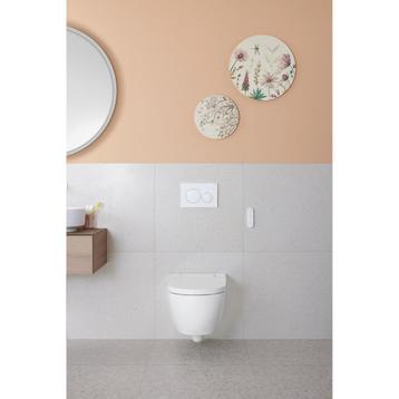 Douche WC Geberit AquaClean Alba Met Afstandsbediening Wit beschikbaar voor biedingen