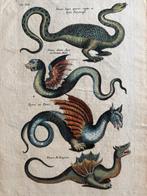 Matthaus I Marian (1593-1650)- Johann Jonston (XVII) - Draco, Antiek en Kunst