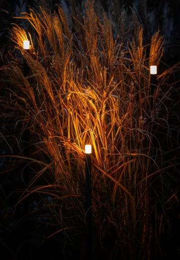 Set staande Lampen | 3 stuks | Erba | 12V | Defaul beschikbaar voor biedingen