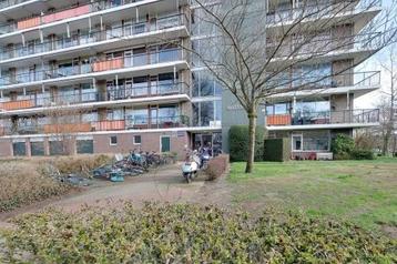 Te Huur 2 kamer Appartement Matenalaan In Arnhem