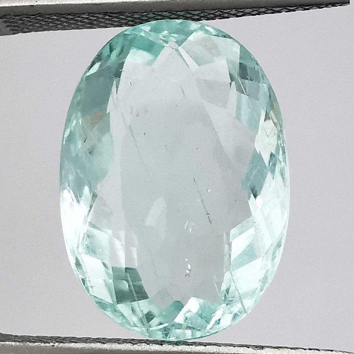 Zonder Minimumprijs Aquamarijn - 6.86 ct - Antwerp, Sieraden, Tassen en Uiterlijk, Edelstenen