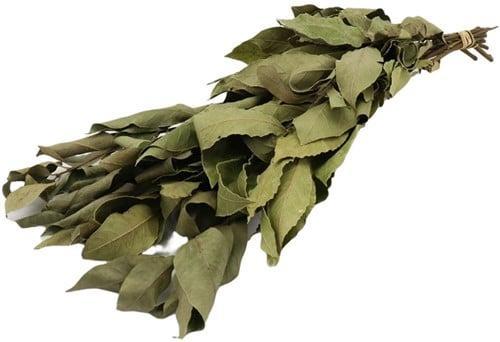 Laurier Laurierblad Groen Droogbloemen 80 cm, Huis en Inrichting, Woonaccessoires | Kunstplanten en Kunstbloemen, Nieuw, Ophalen of Verzenden