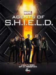 Agents Of S.H.I.E.L.D. - Seizoen 1 niet Nederland, Cd's en Dvd's, Dvd's | Actie, Verzenden