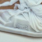 Sardonisch schelpje - Cameo - HANDGEGRAVEERDE CAMEO, Nieuw