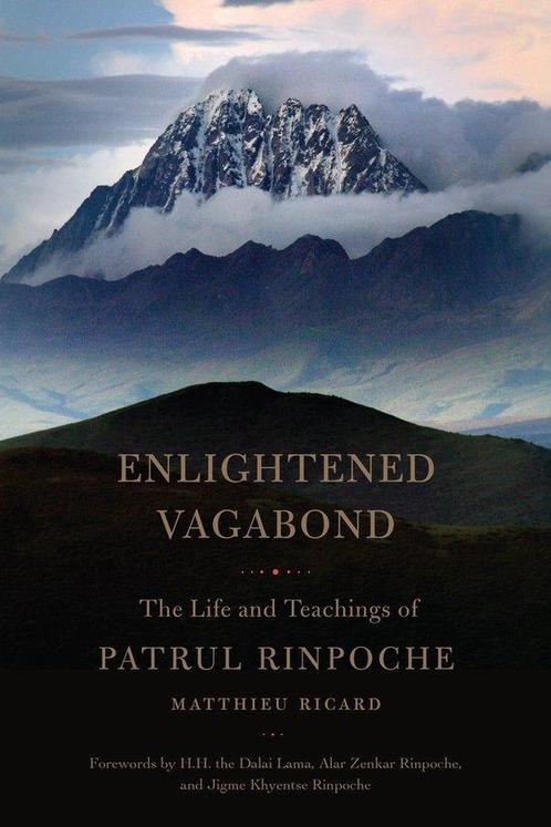 9781611803303 Enlightened Vagabond Matthieu Ricard, Boeken, Biografieën, Nieuw, Verzenden