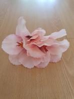 Pink Pinup Hair Hibiscus., Verzenden, Nieuw