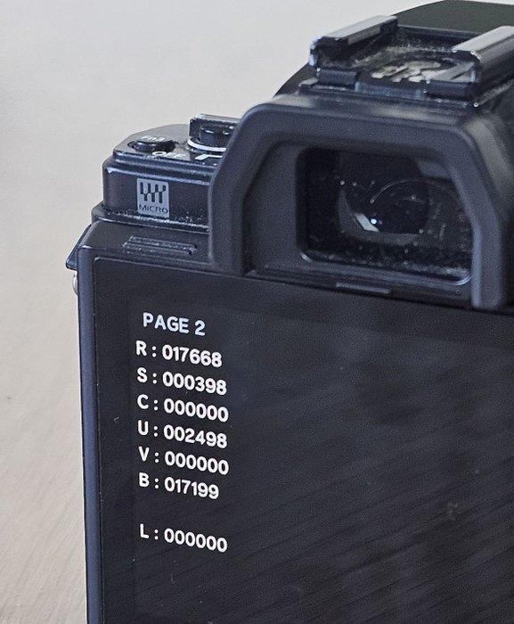 Olympus E-M10 Mark II Body – Compact, Powerful, and, Audio, Tv en Foto, Fotocamera's Digitaal