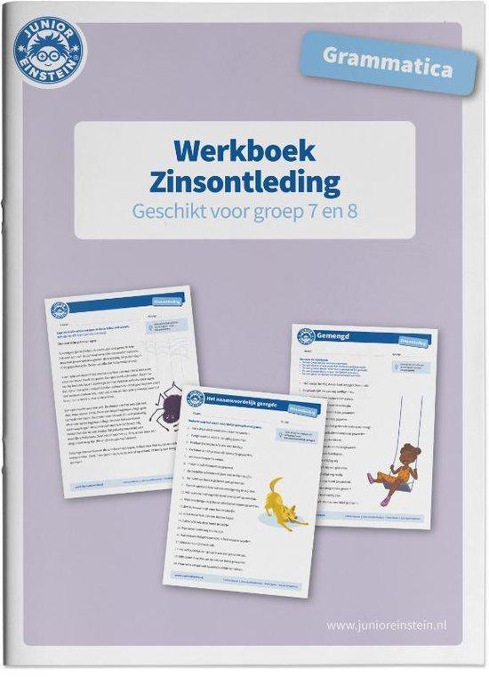 9789492265968 Werkboek Grammatica Zinsontleding voor groe..., Boeken, Schoolboeken, Nieuw, Verzenden