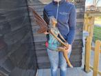 Beeld, XL Bronze Fairy - 76 cm - Brons