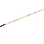 Warm wit rigide strip - 100cm - 2835 - 12 volt - 5mm, Ophalen of Verzenden, Nieuw