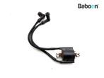 Bobine Yamaha XJ 600 S Diversion 1992-1997 (XJ600 XJ600S, Motoren, Verzenden, Gebruikt