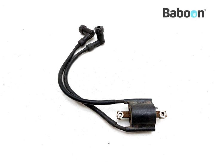 Bobine Yamaha XJ 600 S Diversion 1992-1997 (XJ600 XJ600S, Motoren, Onderdelen | Yamaha, Gebruikt, Verzenden