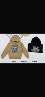 Hoodie, Ophalen of Verzenden, Nieuw, Jongen