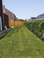 Graszoden bestellen, grasmatten kopen, Gras leggen gazongras, Tuin en Terras, Gras en Kunstgras, Ophalen of Verzenden, Nieuw, 20 m² of meer