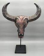 Buffel Schedel op een standaard - Grote dierenschedel - 56