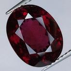 Zonder Minimumprijs - 1 pcs  Rood Granaat  - 5.94 ct -, Nieuw