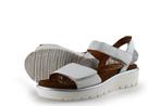 Ara Sandalen in maat 38 Wit | 10% korting, Kleding | Dames, Schoenen, Verzenden, Wit, Sandalen of Muiltjes, Zo goed als nieuw