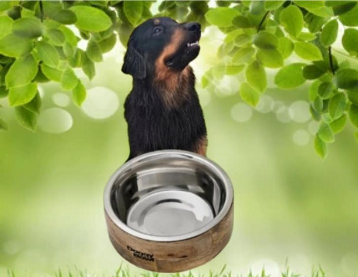 Geef jouw huisdier een stijlvolle eetervaring met Doggy Bowl, Dieren en Toebehoren, Hondenvoerbakken en Drinkbakken, Nieuw, Verzenden