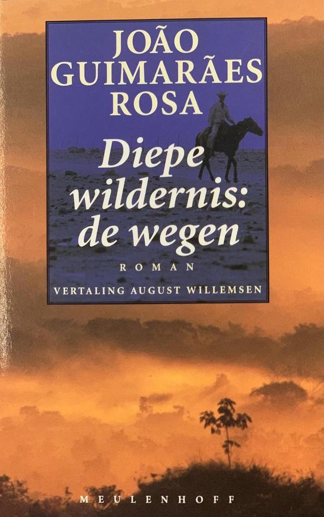 DIEPE WILDERNIS: DE WEGEN 9789029043533 Rosa, Boeken, Literatuur, Gelezen, Verzenden